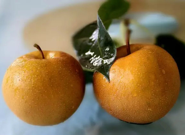 Legend of Chongqing Specialties: Pears on Huanggua Mountain, Yongchuan