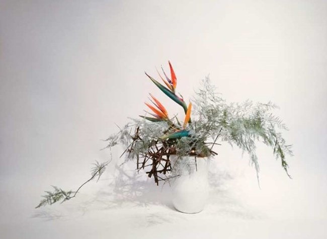 The CICTIE Invites You to Experience Foreign Cultures and Folk Customs