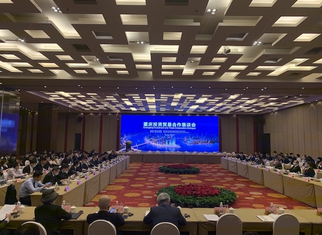 Chongqing Cooperation Dialogue Witnesses Int'l Participation at China's Largest Import Expo