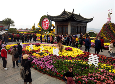 24th Chrysanthemum Art Exhibition Opens in Feast of Autumnal Colour