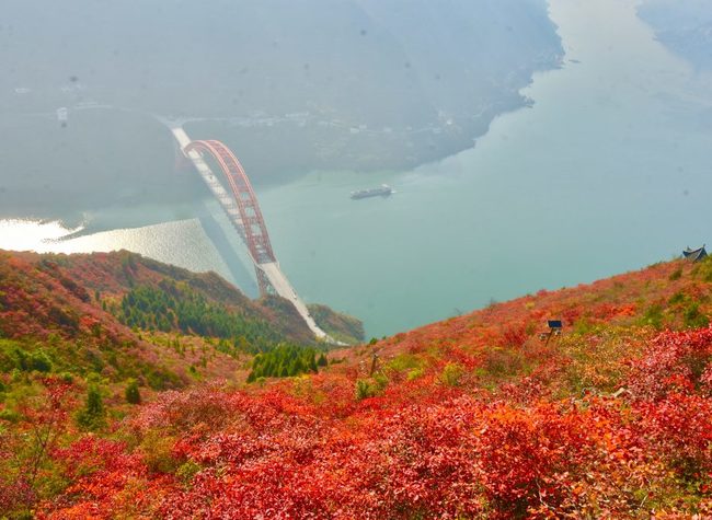 'Red Leaf Sends Love, Swear by All the Gods': Wushan Int'l Red Leaf Festival