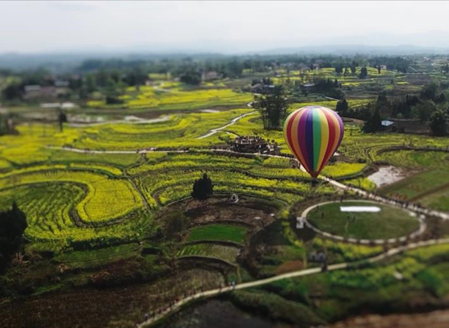 Zhongxian County: the Live Stream Leads More Than 5,500 Trade Orders