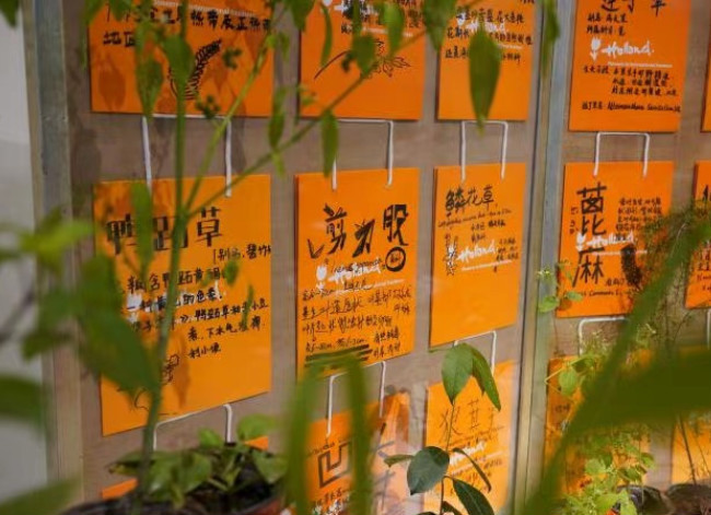 Disappearing River: Make the Huxi River Reemerged and Re-enchanted