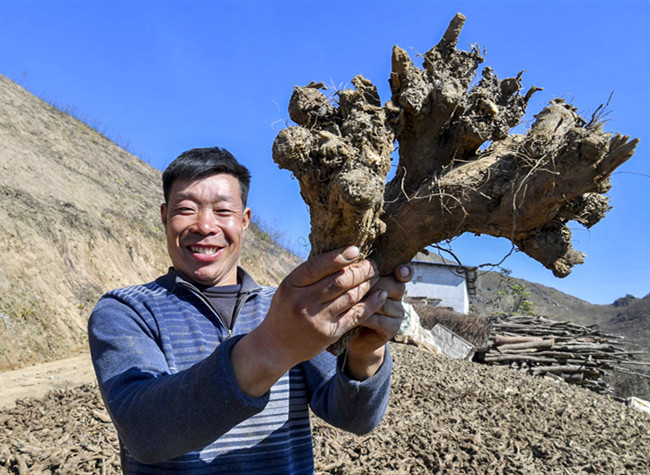 Story of Chongqing Speciality | Kaizhou Horse-heal