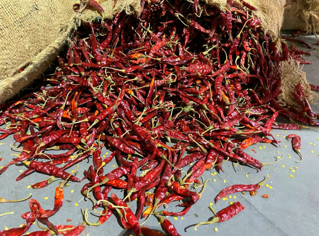 Indian Chili Trading Platform and West China Distribution Center Officially Launched