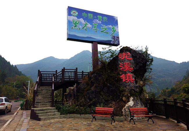 Donated Infrastructure and Business Endeavour Spur Rural Revitalization - Vlog