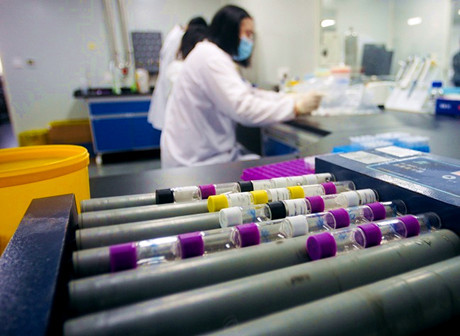 Employees of SK Hynix Semiconductors (Chongqing) and Relevant Contacts Test Negative for Coronavirus