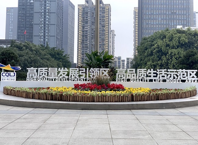 Chongqing Liangjiang New Area, Home to More High-Tech Projects