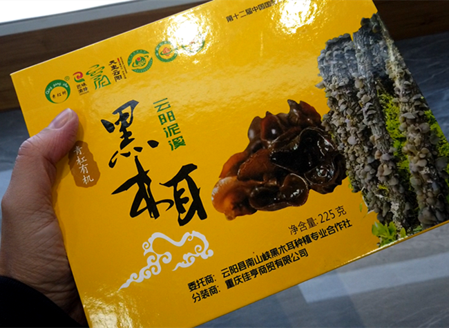 Nixi Black Fungus Packaged as Famous Chongqing Brand in Yunyang Poverty Alleviation