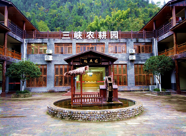 Nixi Three Gorges Agricultural Park Drives Substantial Income for Rural Households