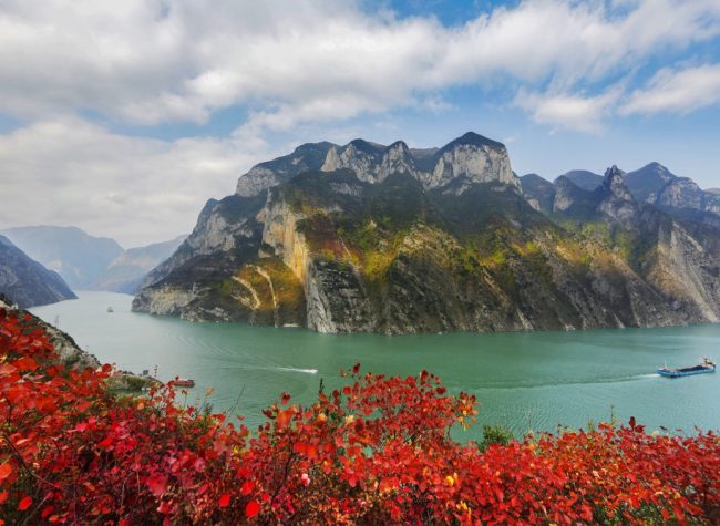 Chongqing Aims for 60% Forest Coverage along Yangtze River by 2030