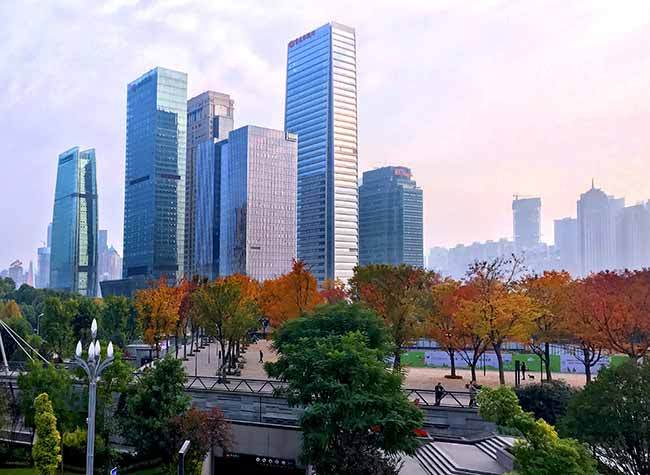 Member of the CPPCC Chongqing: Business Environment to Further Improved