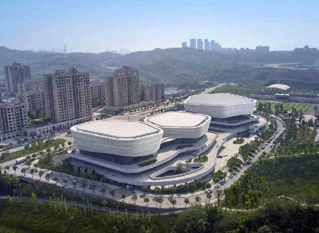 Yubei Delegation Reviews the Work Report of the Chongqing Municipal People's Government