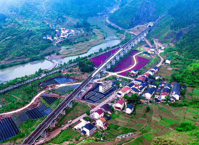 Poverty Alleviation in Green Efforts |Chongqing Opportunity