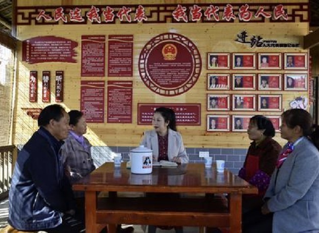 NPC Deputy Ran Hui: Chongqing's Rural Revitalization to Help Sustainable Development