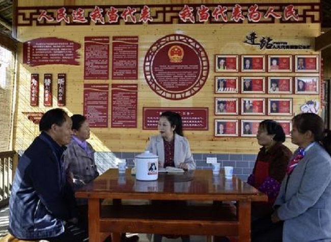 NPC Deputy Ran Hui: Chongqing's Rural Revitalization to Help Sustainable Development