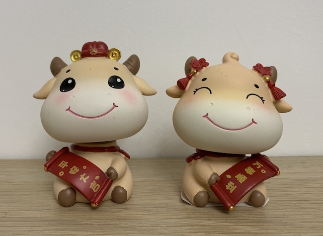 Spring Festival Celebration: Ways to Feel the Festive Vibe