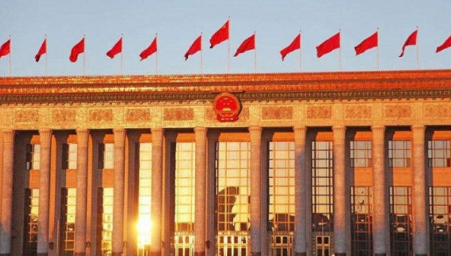 How Do China's Top Political Advisers Affect Gov't Decision Making?