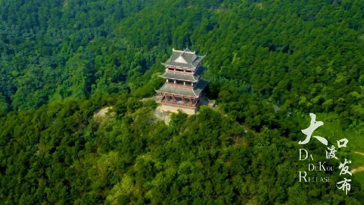 All Year Round, Dadukou Forest Park Opens for Free