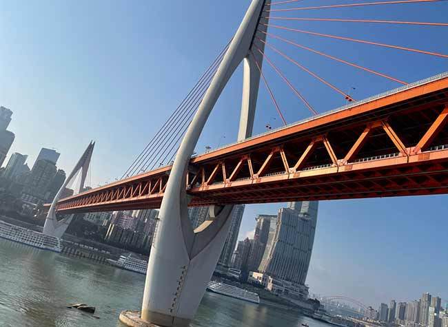 March 7 - Year of the Ox (Epilogue: Part 4) The Legend of the Phoenix