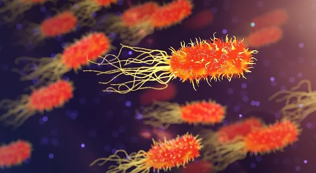 Chongqing Research Center to Figure out  'Killers' Behind Infectious Diseases