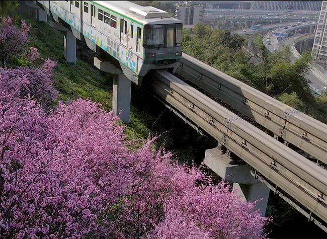 This Spring, Cherish that Humanity Recovered All that Was Lost