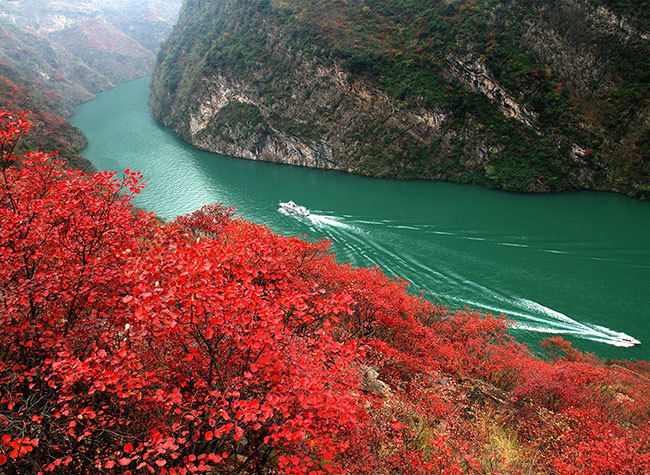 Deputies and Members: Gratifying Results in Ecologic Protection of Yangtze River