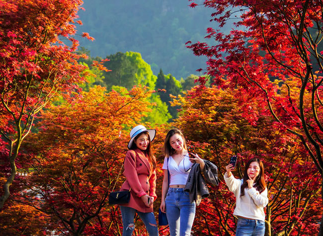 Chongqing Accelerates Green Transformation to Build Ecological Shield