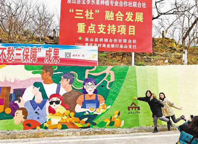 Sichuan Fine Arts Institute Teachers and Students Support Rural Vitalization with Art