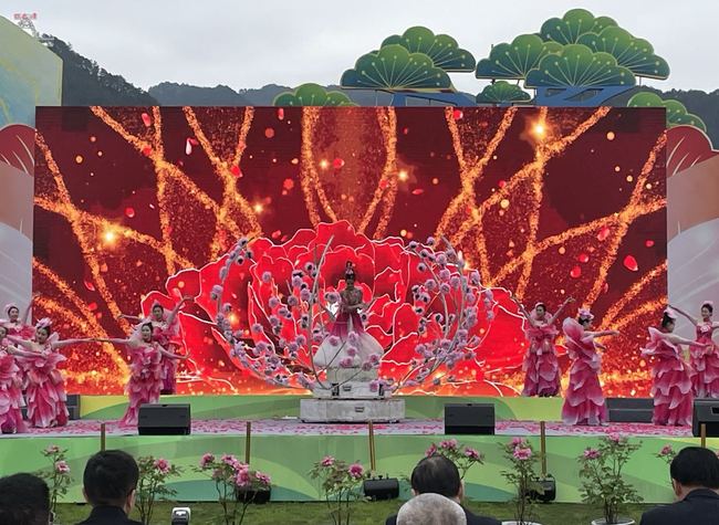 A Feast of Flowers, Dianjiang's Peony Culture Festival Returns for the 22nd Time