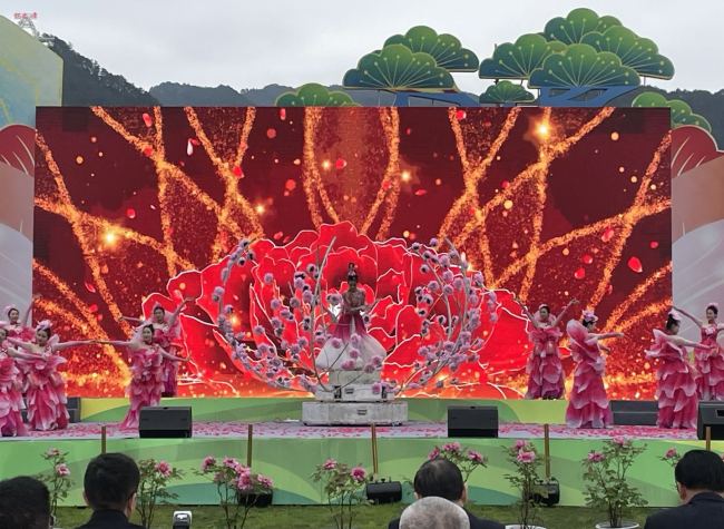 A Feast of Flowers, Dianjiang's Peony Culture Festival Returns for the 22nd Time