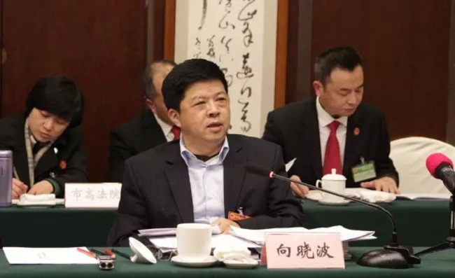 NPC Deputy Xiang Xiaobo: Chinese Enterprises Go Global through Technological Innovation