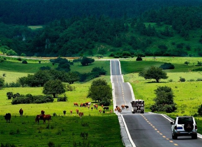 10 Forest Bases in Sichuan and Chongqing Expect Your Arrival