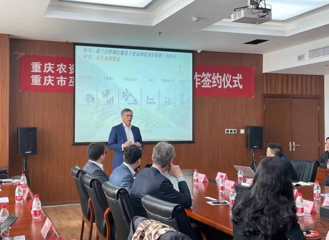 Dutch Rabobank to Pour CNY70 Million into Chongqing's Chili Industry