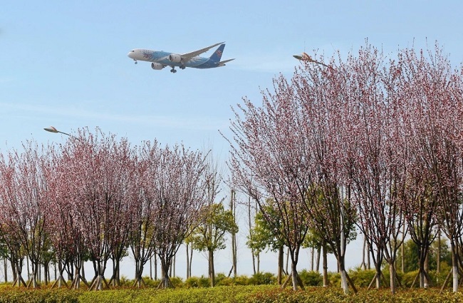 Chongqing Airport Opens 105 International (Regional) Air Routes