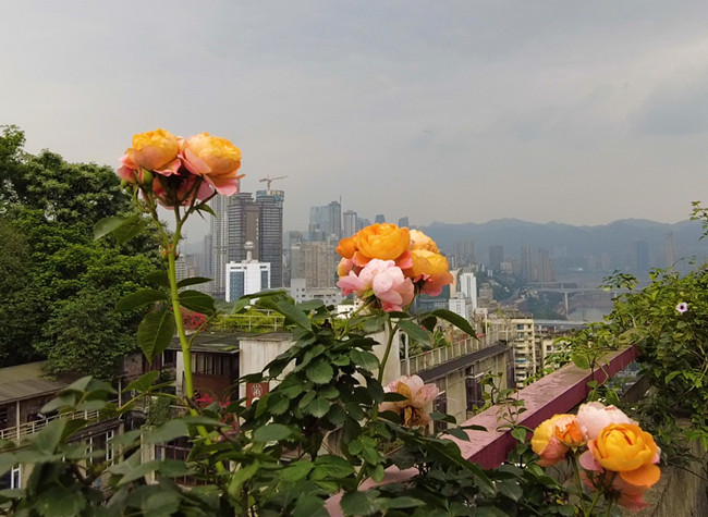 '13th Bayu Sight' Rooftop Teahouse Makes Addition to Testbed2 Cultural Landscape