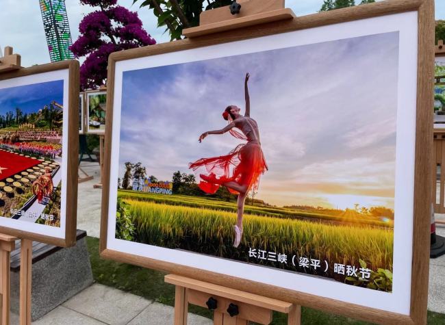 Liangping, Chongqing Expressway Group Launches Agricultural Outlets Fair