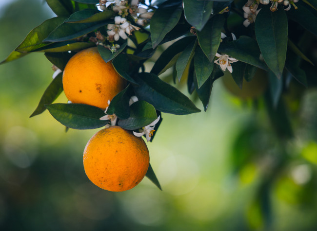 How Chongqing's Infrastructure Lifts People out of Poverty