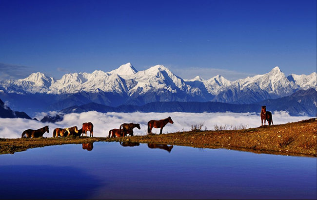 Holy Garze Invites Chongqing Natives to Travel There with 50 % Discount