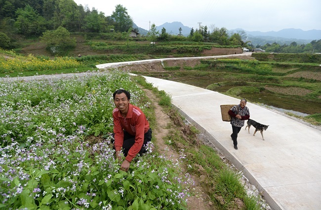 Chongqing Made Various Achievements in Poverty Alleviation