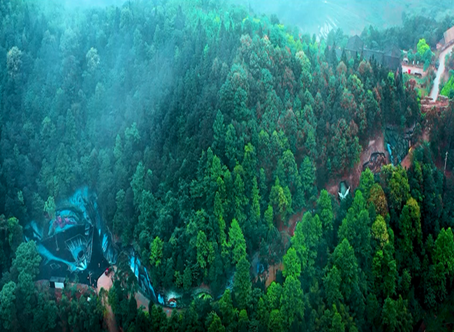 The Brilliant Ideas behind the Guinness-Record-breaking 3D Paintings in Chongqing