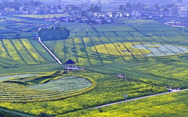 Chongqing Inaugurates Bureau of Rural Revitalization