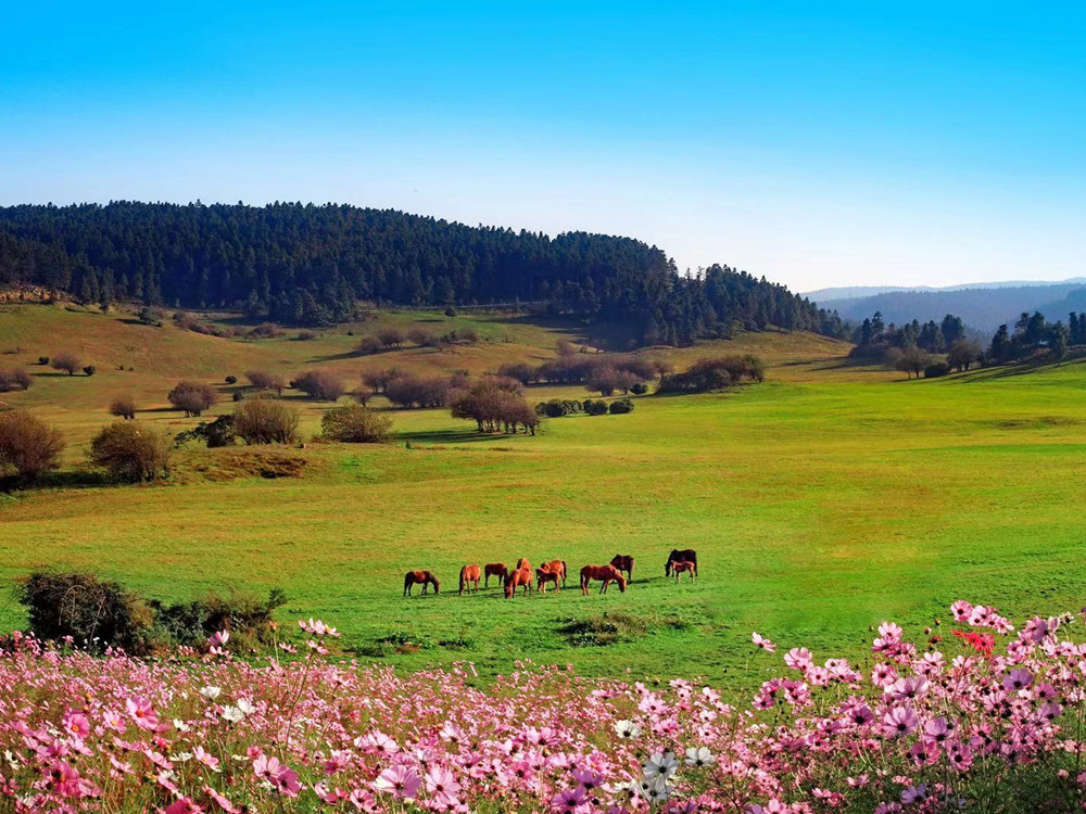 Fairy Mountain