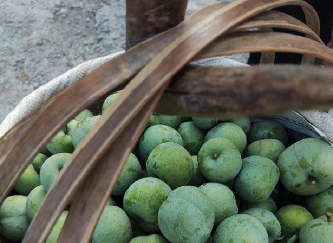110,000 Tons of Wushan Crispy Plums are Ready to Sell in Late June