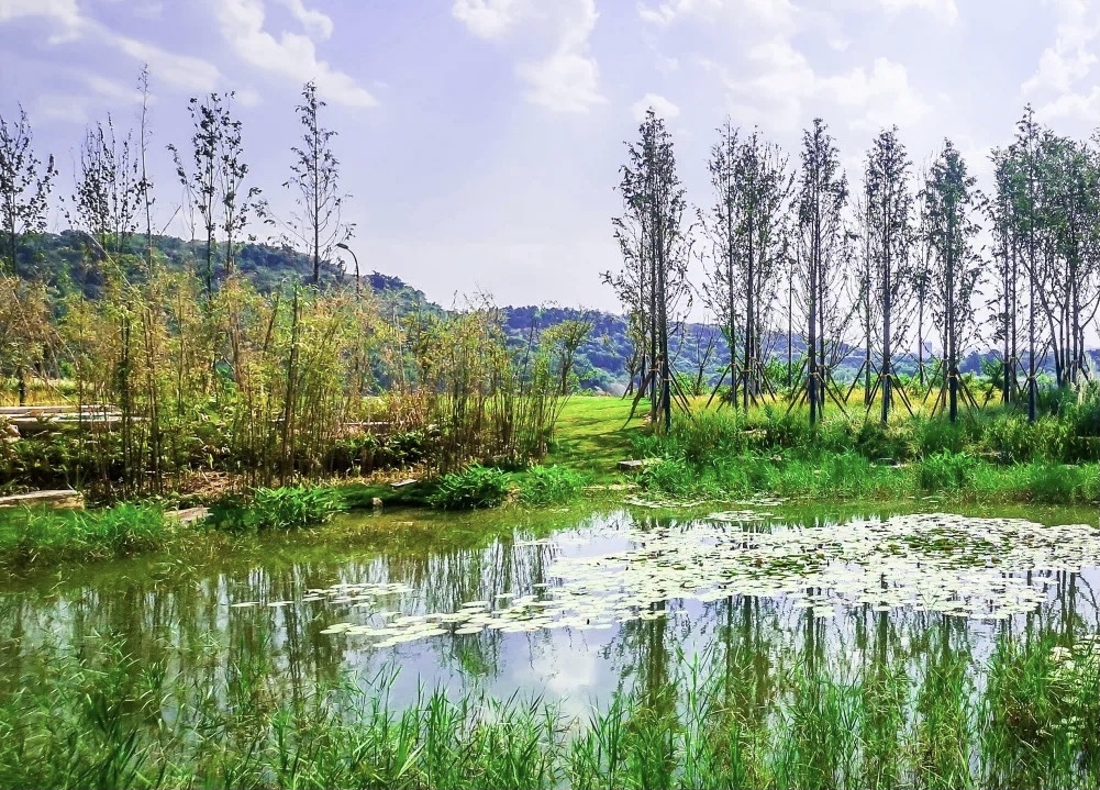 Guangyang Island( Photo by Guangyang Island)