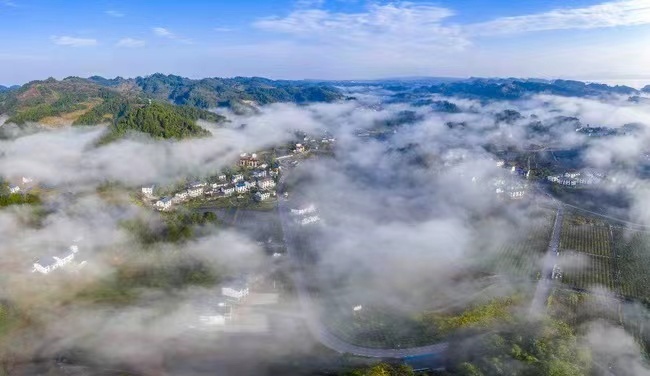 Sharing Inspiring Stories, Chongqing Village Leaders Devoted to Rural Revitalization
