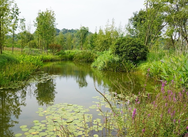 Taiwan-Straits Journalists Blaze Trail Through Chengdu-Chongqing Economic Circle