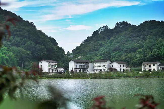 Foreign Influencers Explore Yubei District's Poetic Countryside