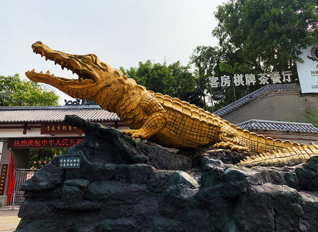 Exploring a Little Known Park for Endangered Aligators in Chongqing  | James' Vlog