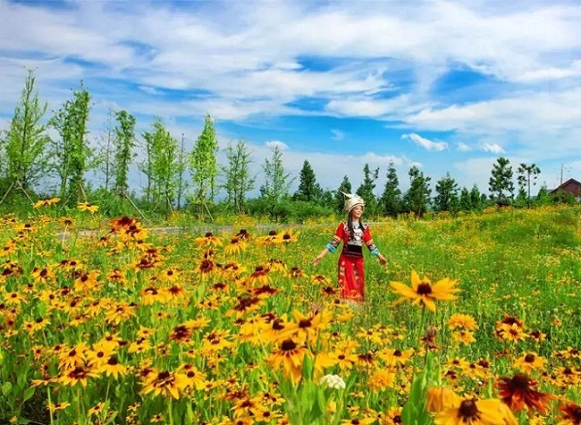 Visit Grassland in the Early Autumn, Explore Fun in Nature